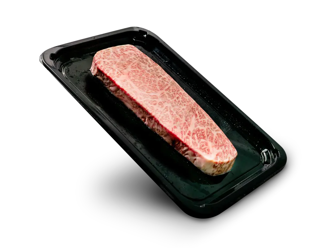 JAPAN A5 Takumi Signature